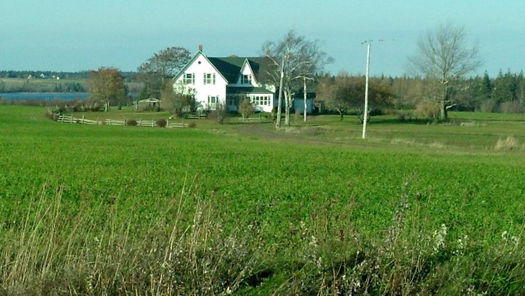 Lovely Green Gable Home Miscouche Екстериор снимка