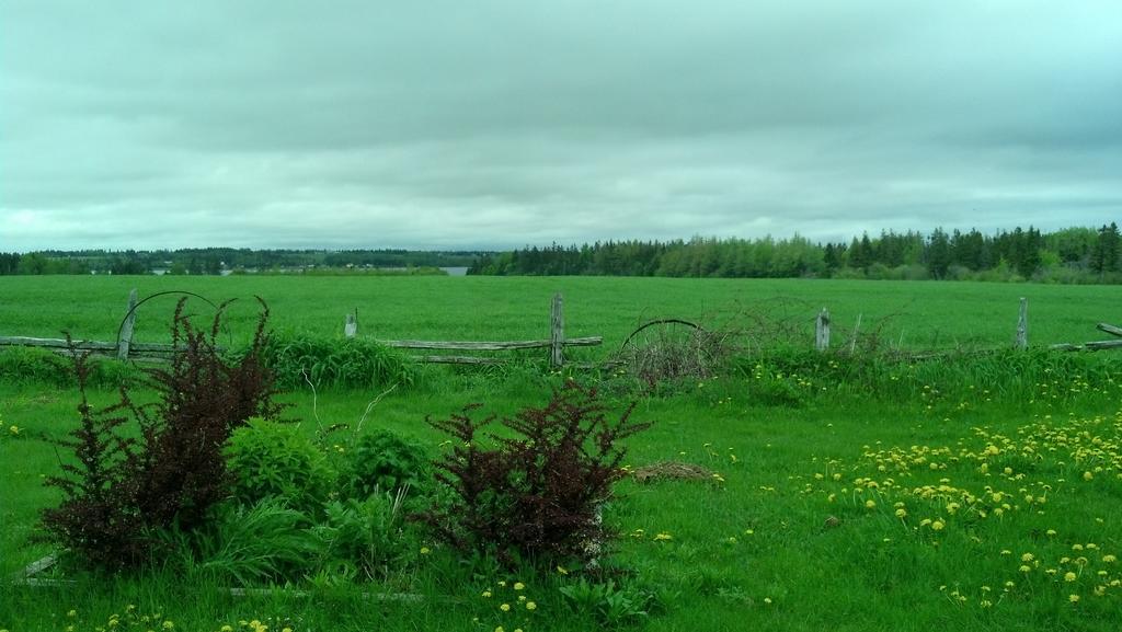Lovely Green Gable Home Miscouche Екстериор снимка