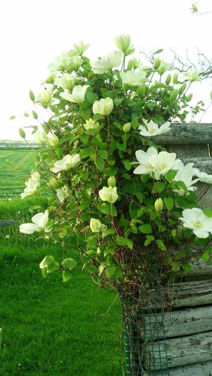 Lovely Green Gable Home Miscouche Екстериор снимка